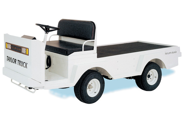 electric utility buggy